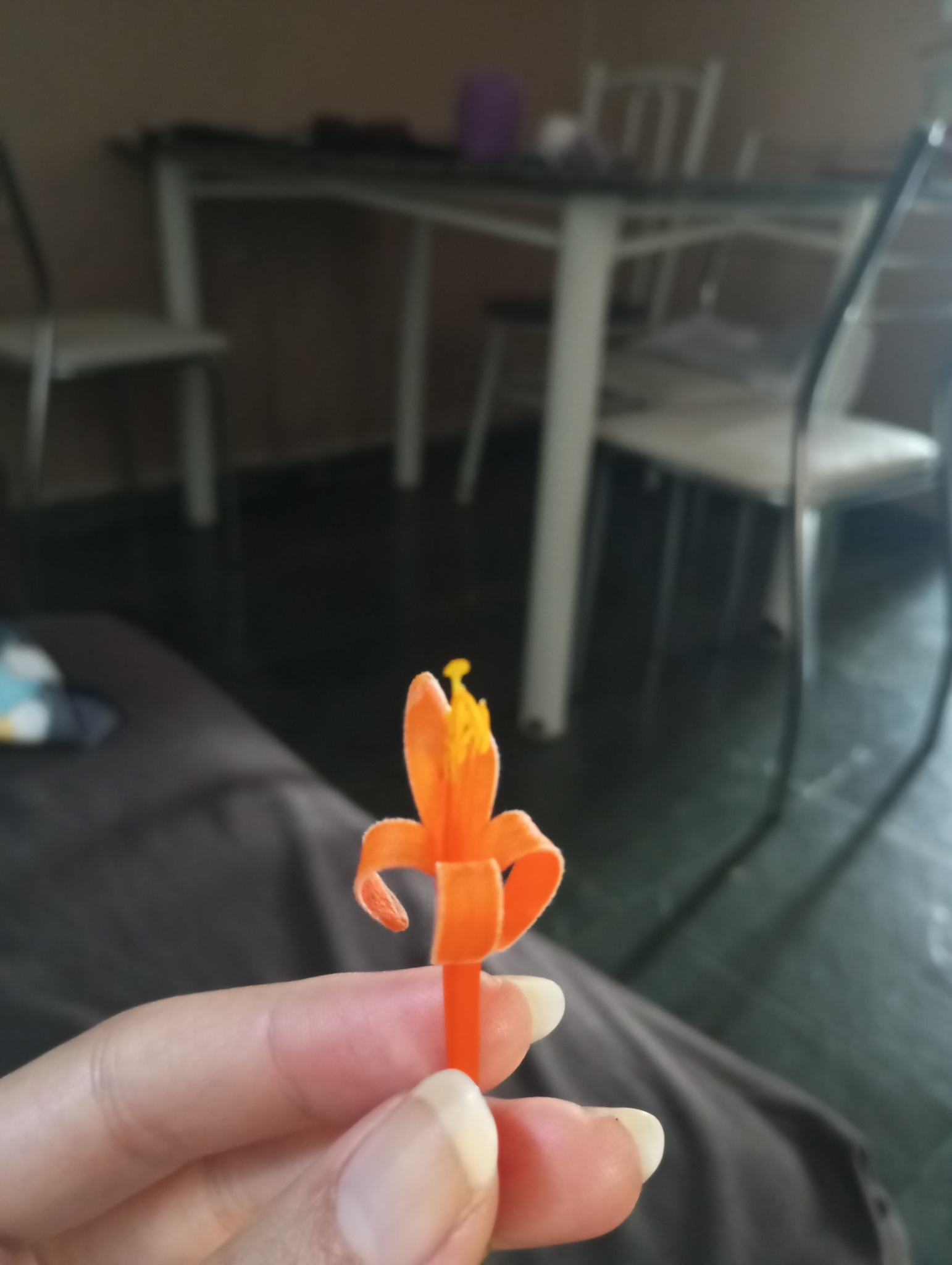 Photo of Flame vine (1/12)