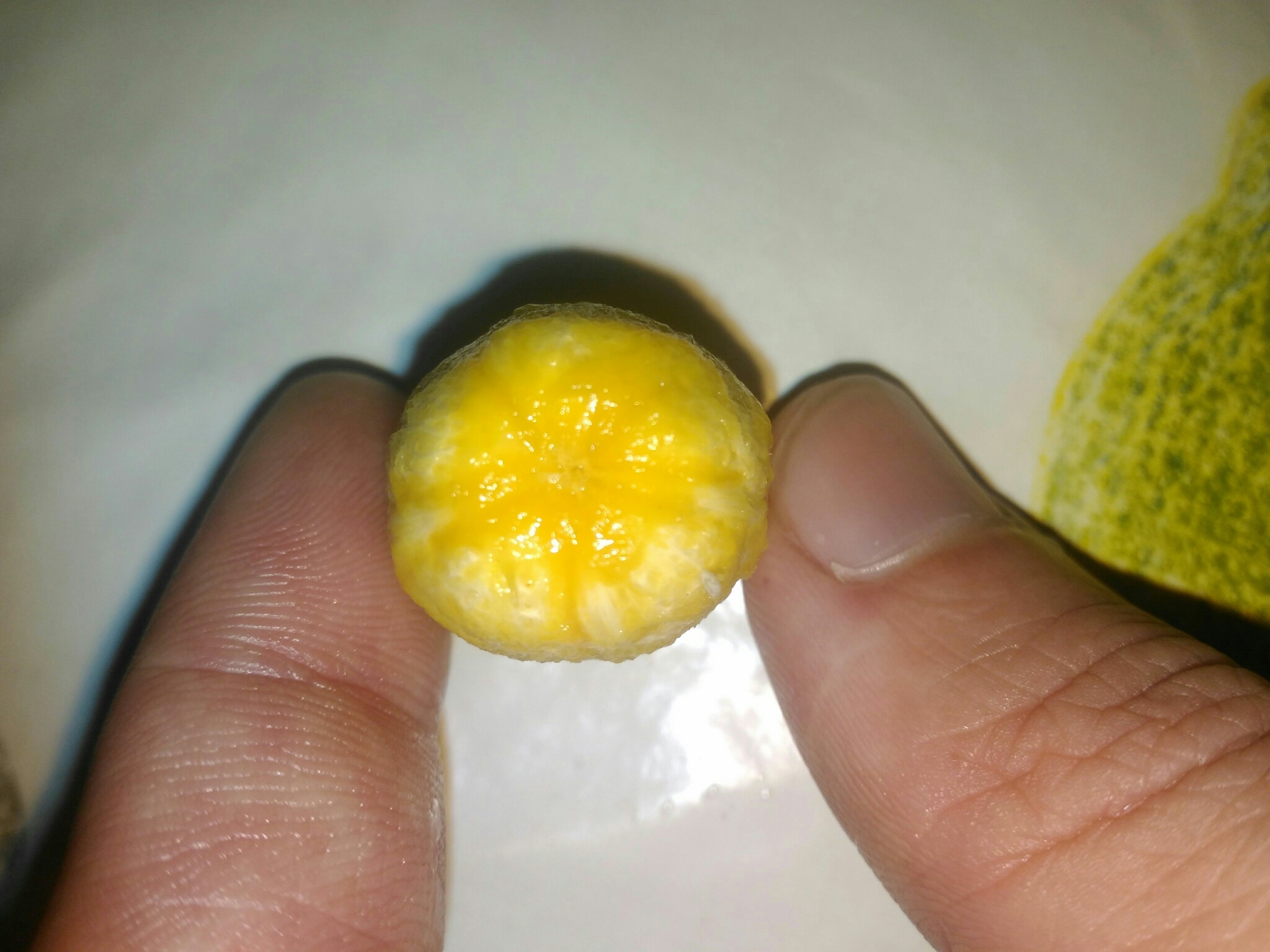 Photo of Spondias (2/5)