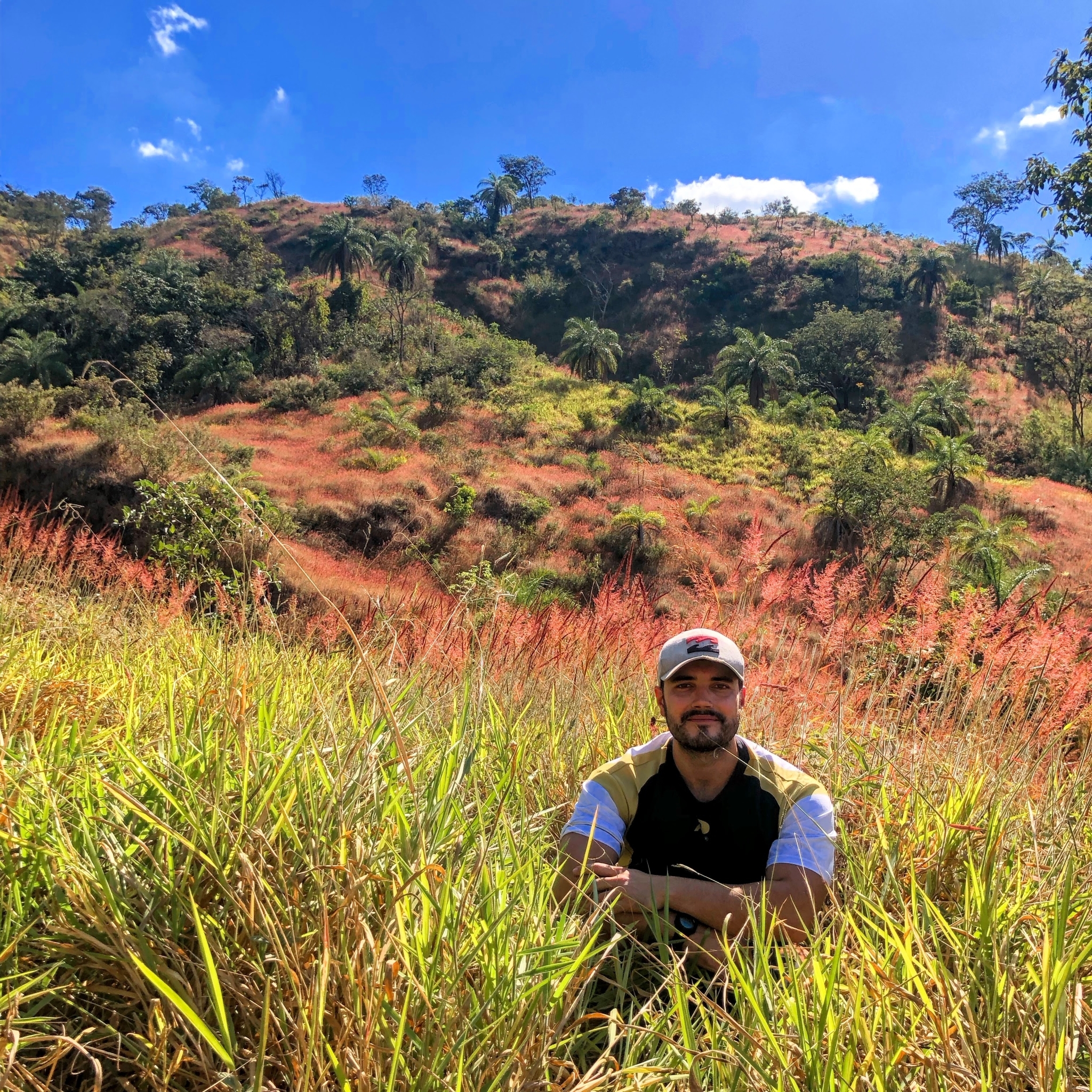 Photo of Molasses Grass (7/11)