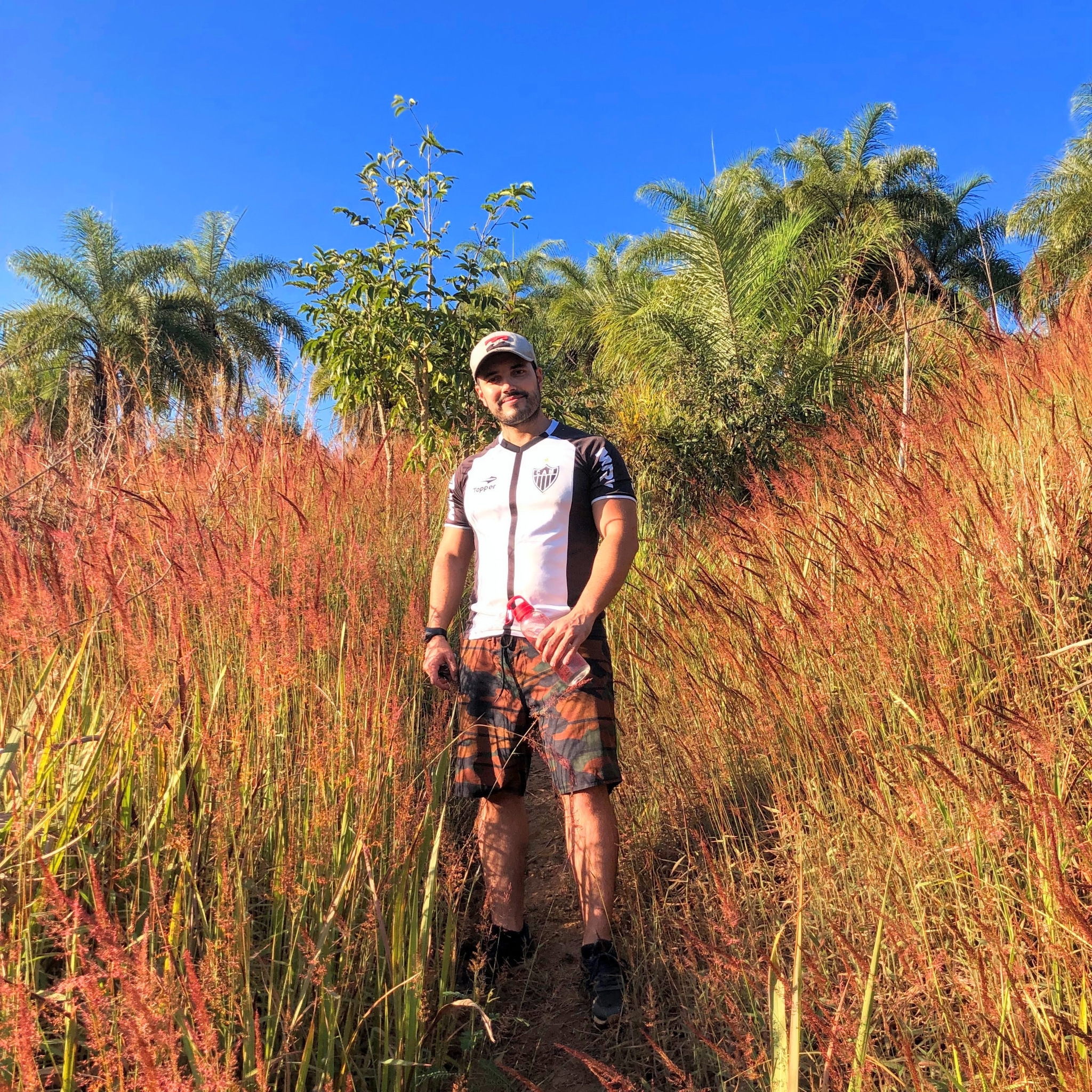 Photo of Molasses Grass (1/11)